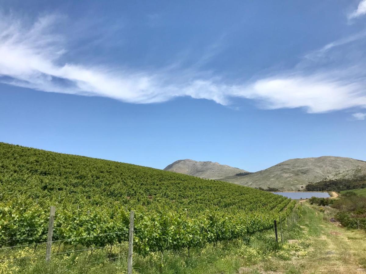 Kleine Vrede Farm Cottage Hermanus Buitenkant foto