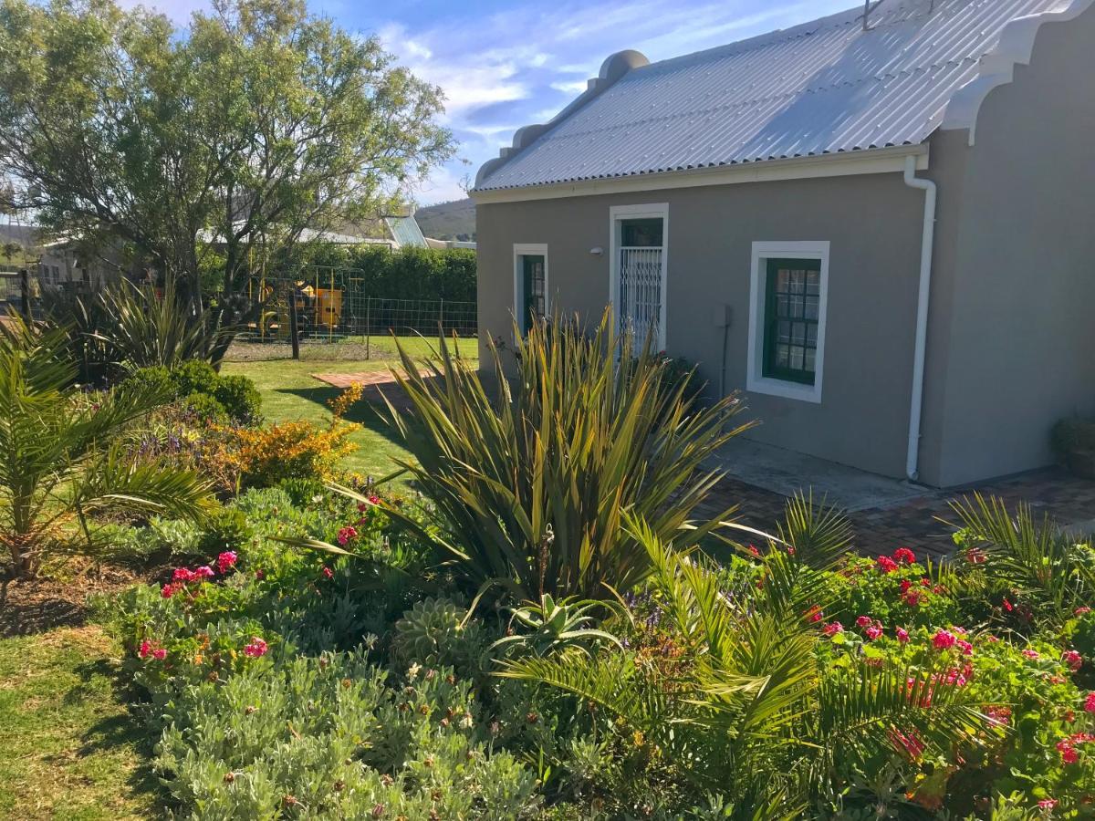 Kleine Vrede Farm Cottage Hermanus Buitenkant foto