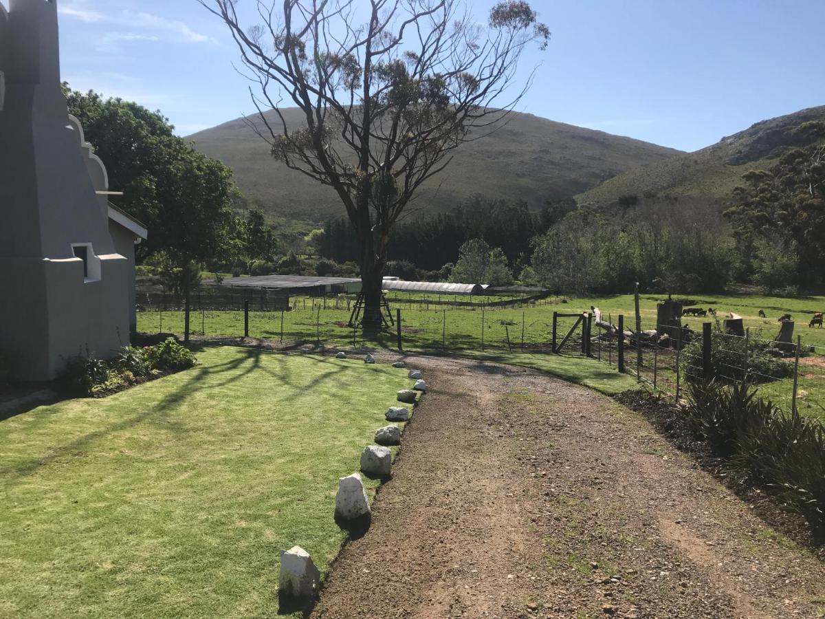 Kleine Vrede Farm Cottage Hermanus Buitenkant foto