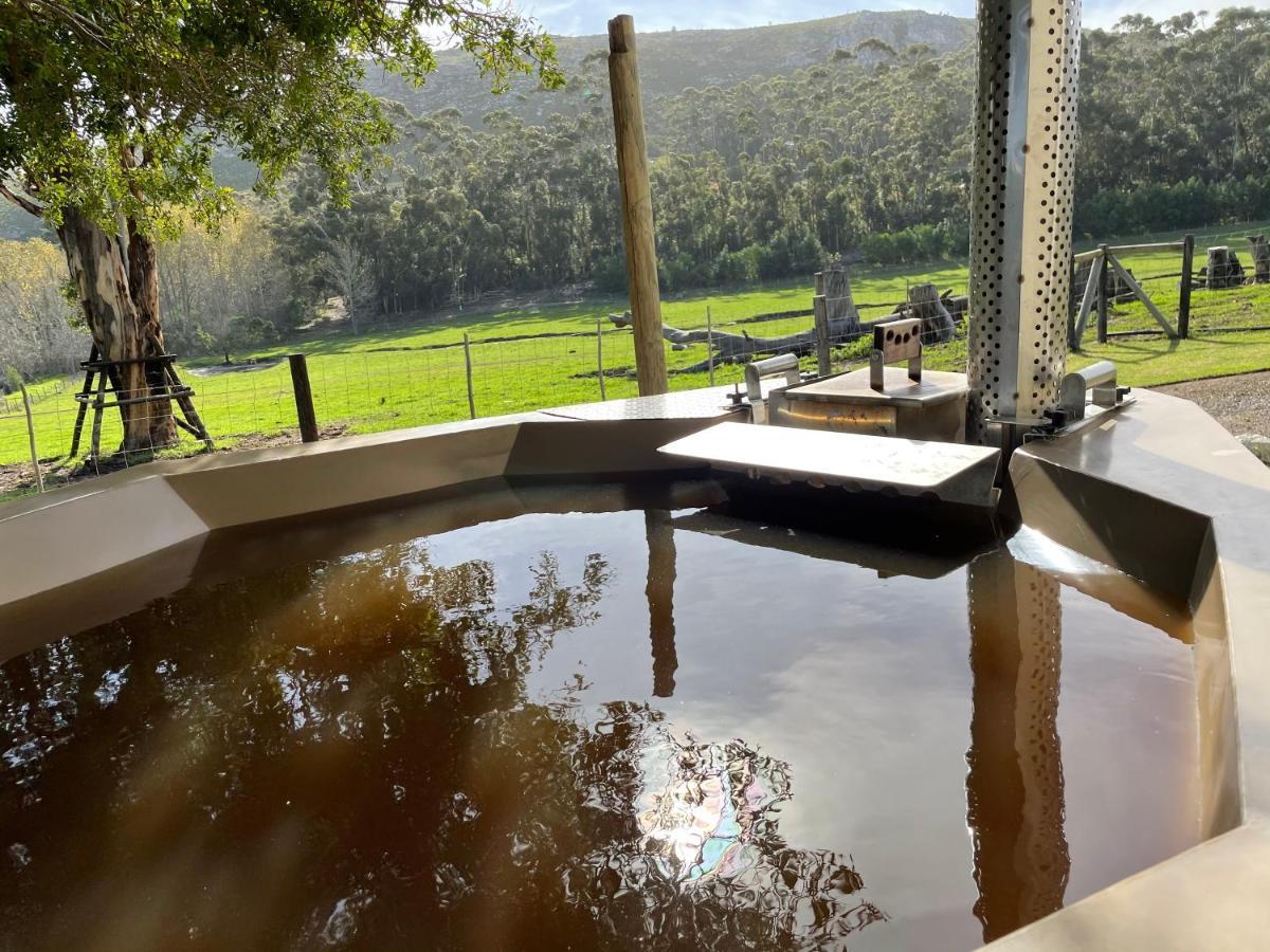 Kleine Vrede Farm Cottage Hermanus Buitenkant foto