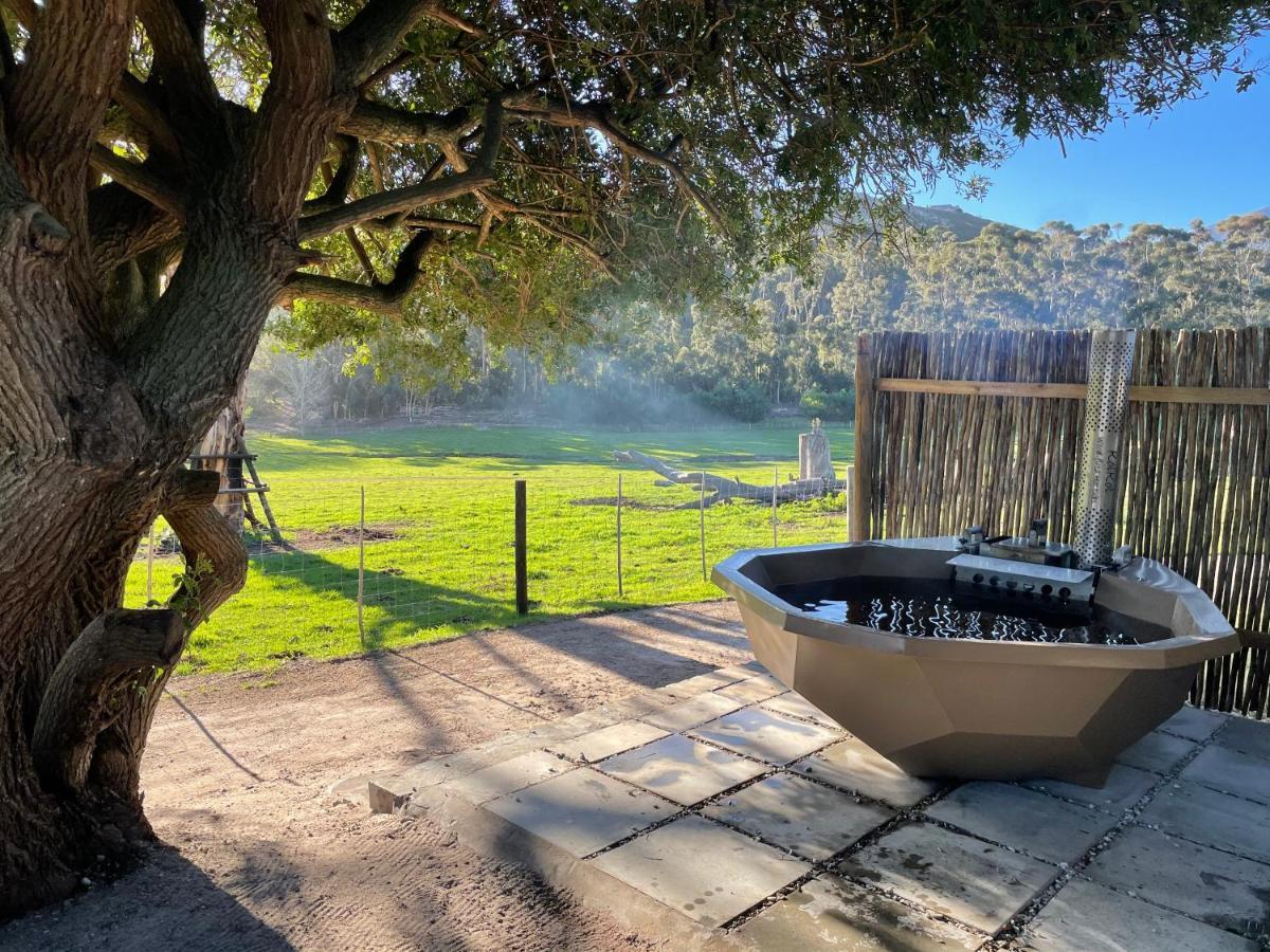 Kleine Vrede Farm Cottage Hermanus Buitenkant foto