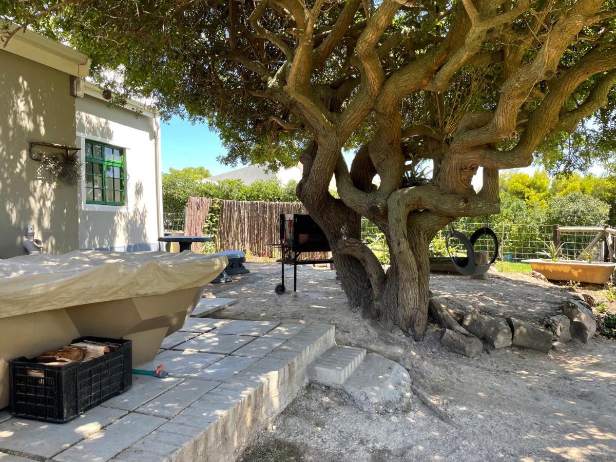 Kleine Vrede Farm Cottage Hermanus Buitenkant foto